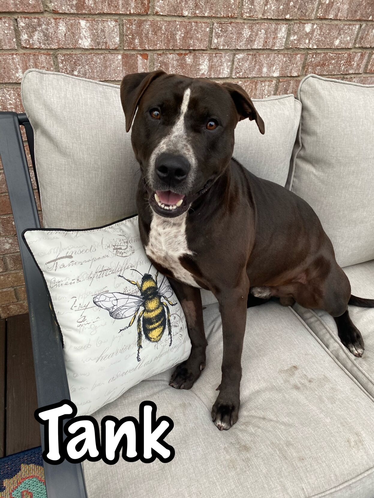 Tank